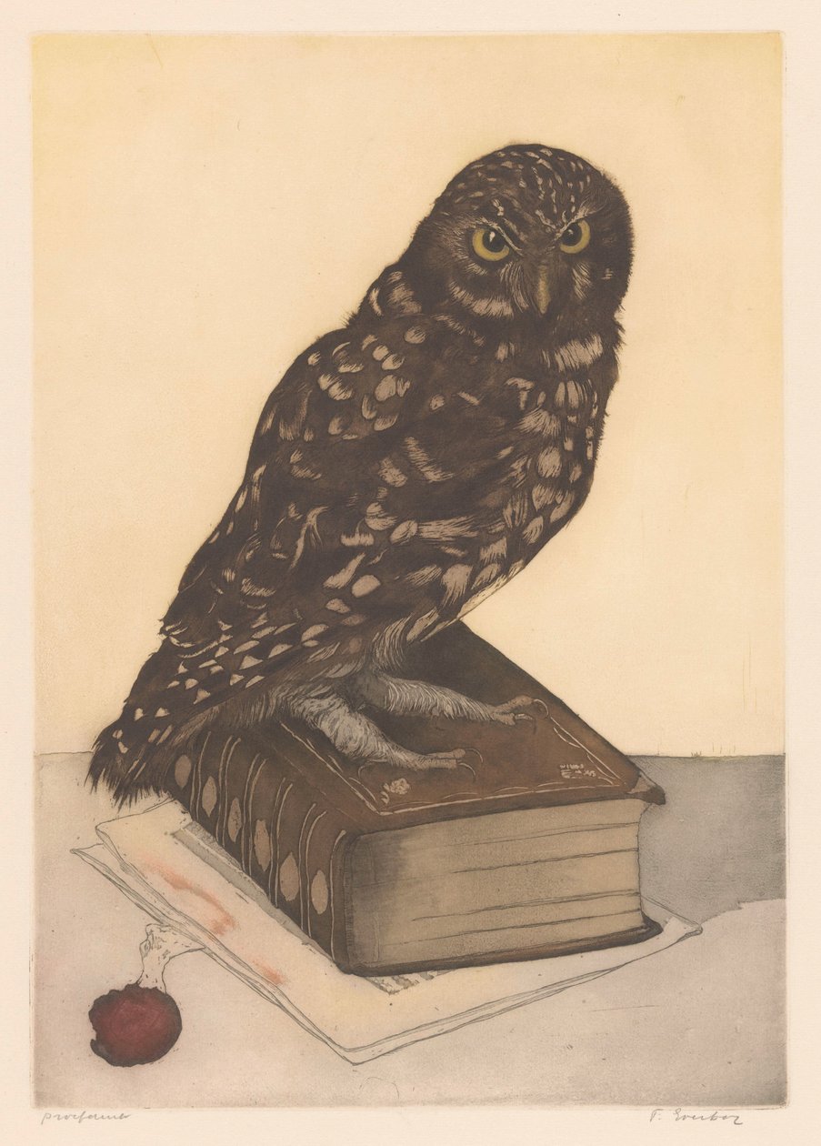 Ugle sitter på en bok av Frans Everbag (signed by artist)