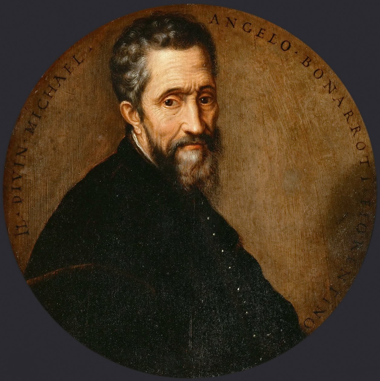 Michelangelo Buonarroti dette Michel-Ange av Frans Floris