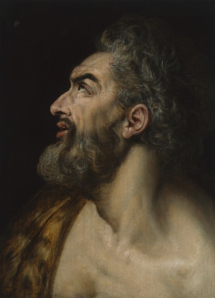 Studiehode til en skjeggete mann, ca. 1565 (olje på panel) av Frans Floris