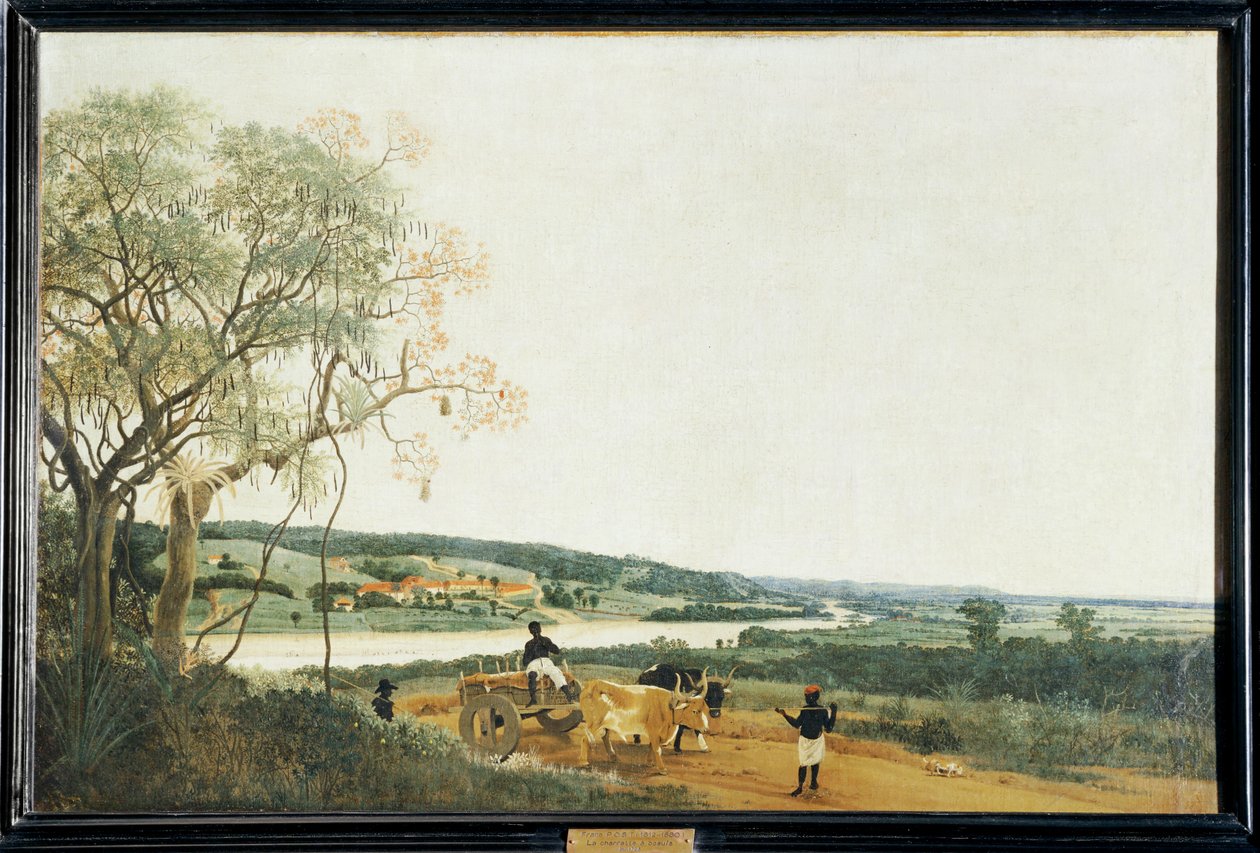  av Frans Jansz Post