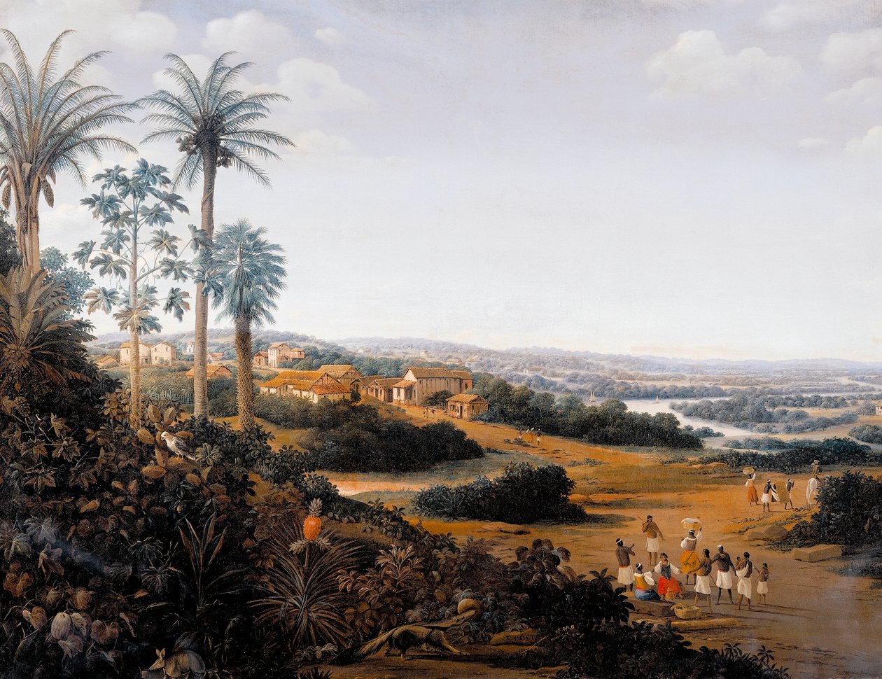 Landsbyen Serinhaem i Brasil eller hjemmet til en sukkerrørplanter i Brasil (olje på lerret) av Frans Post