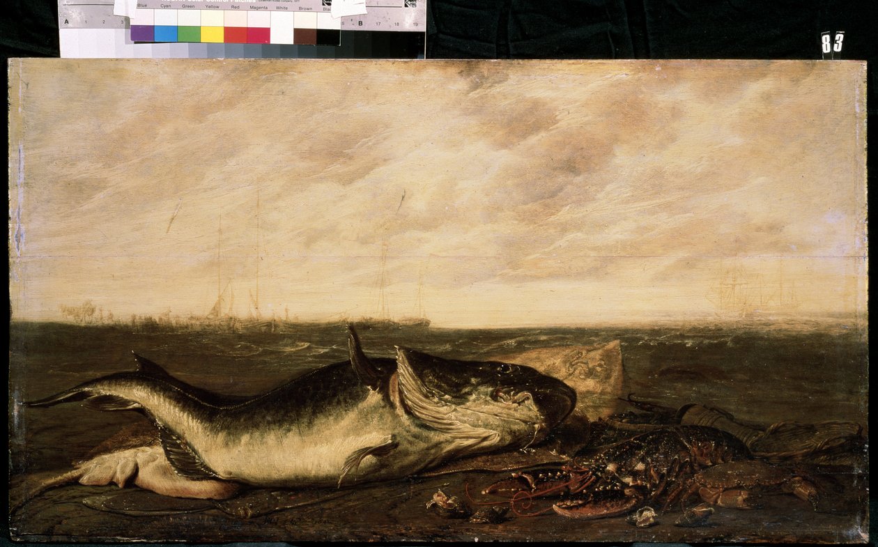 Fisk og hummer på stranden (Fisk og hummer på kysten). Maleri av Frans Ryckhals (etter 1600-1647). Olje på lerret, 47 x 83,5 cm av Frans Ryckhals