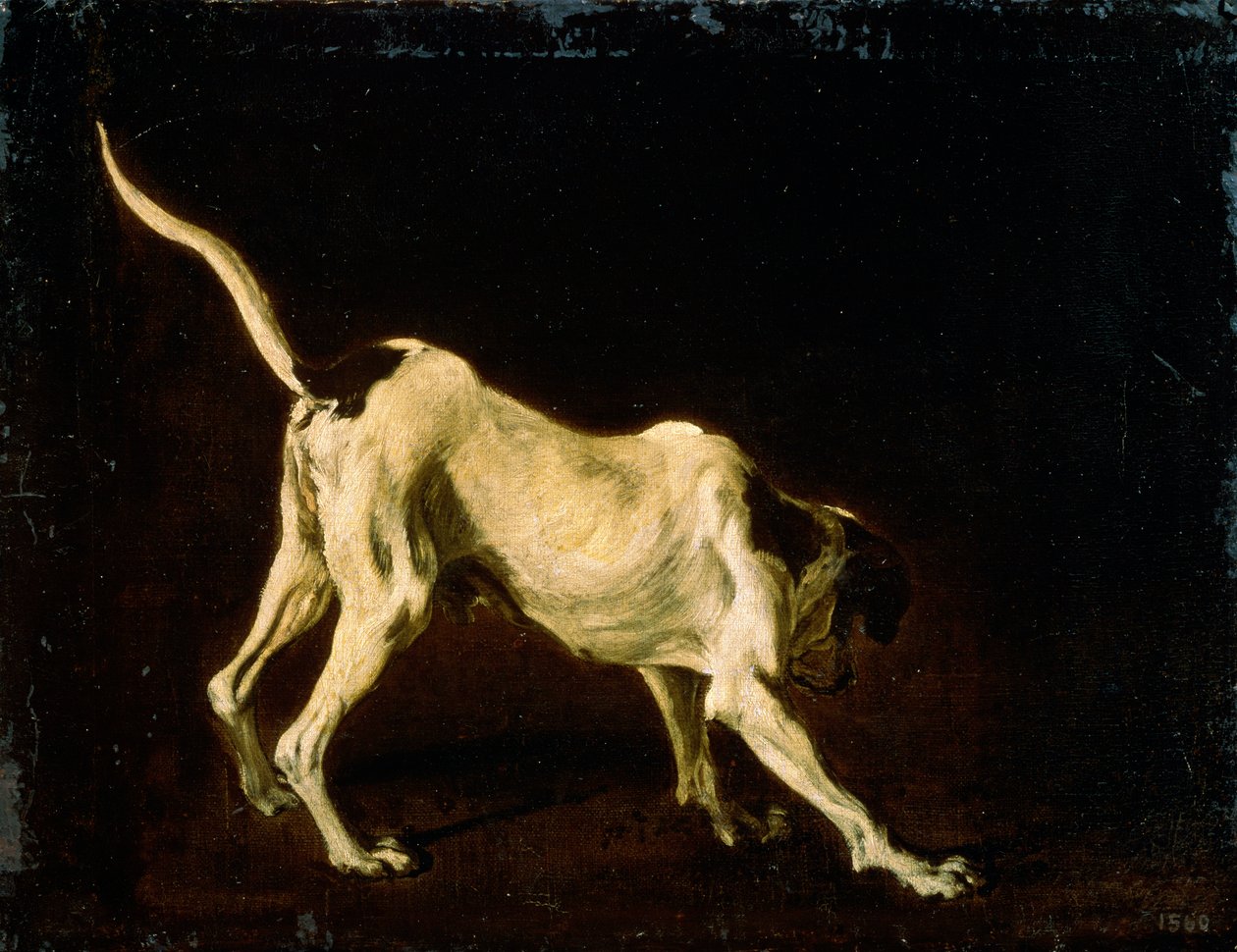 En hund, 1600-tallet av Frans Snyders or Snijders