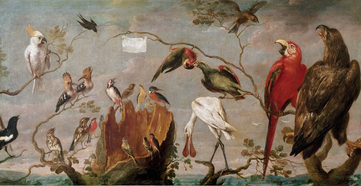 Fuglekonsertmaleri av Frans Snyders (Snijders) (1579-1657) Madrid fra 1600-tallet, Prado-museet av Frans Snyders