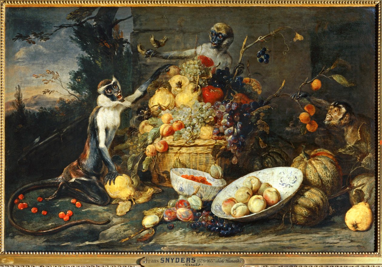  av Frans Snyders