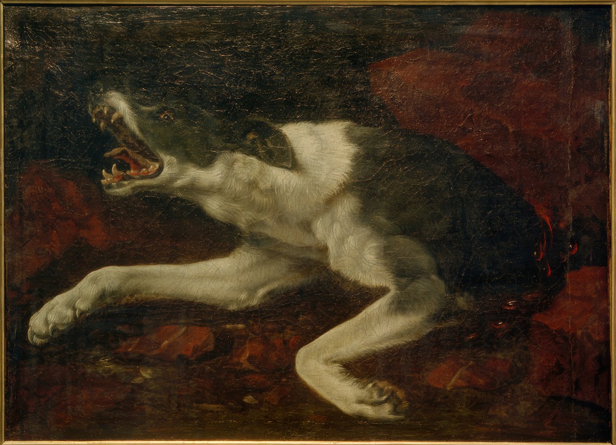 Skadet hund av Frans Snyders or Snijders