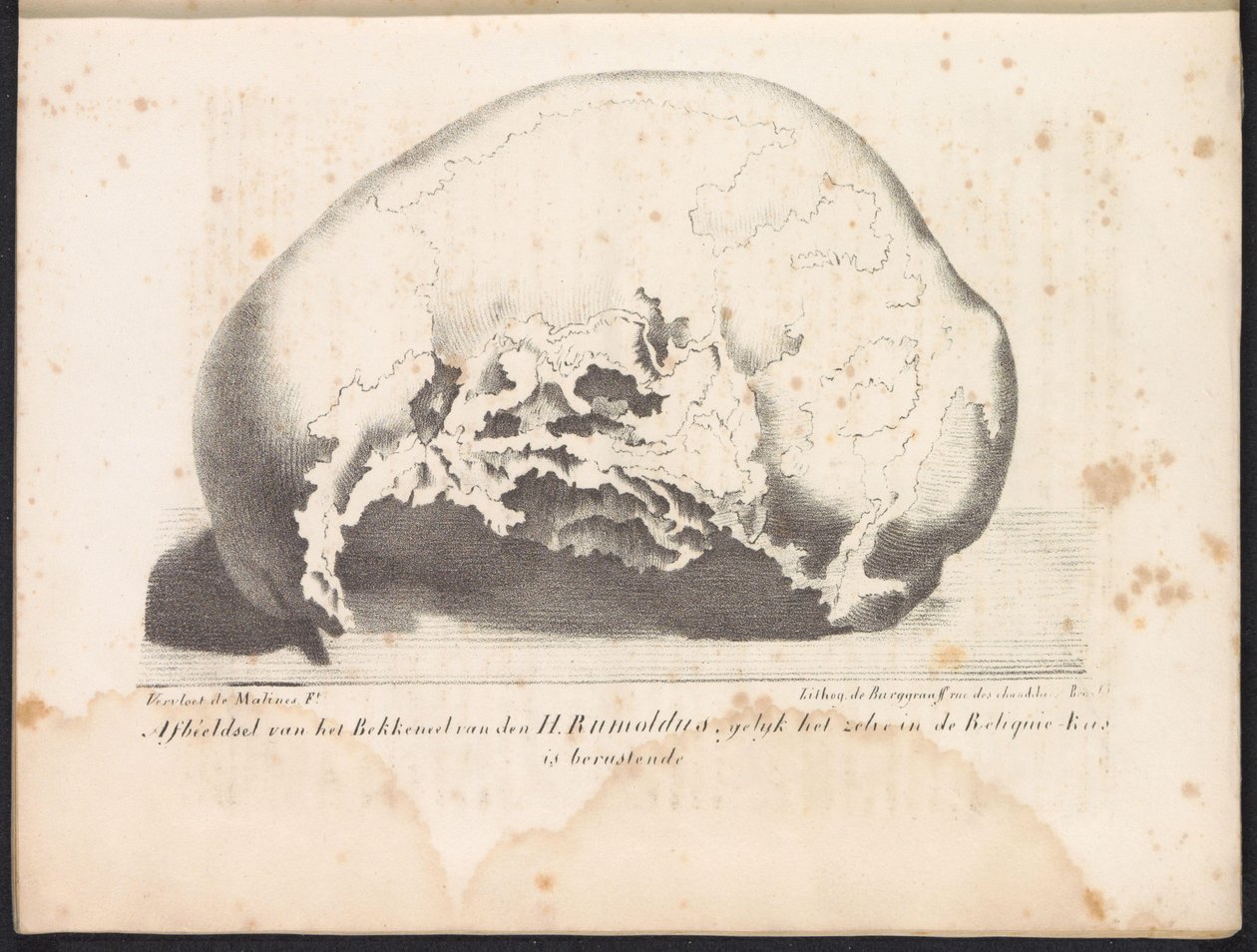 Skull of Saint Rumbold, 1825 Bilde av bekkenet til H. Rumoldus slik det er i Reliquie-Kas (tittel på objekt) av Frans Vervloet