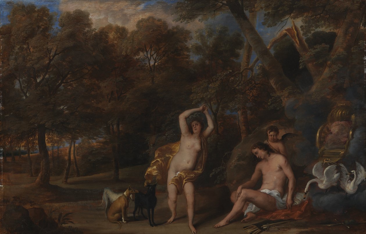 Venus gråter over den drepte Adonis av Frans Wouters