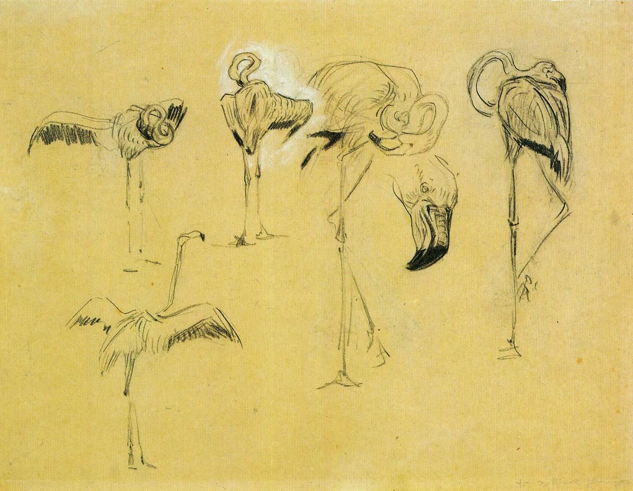 Flamingoer av Franz Marc