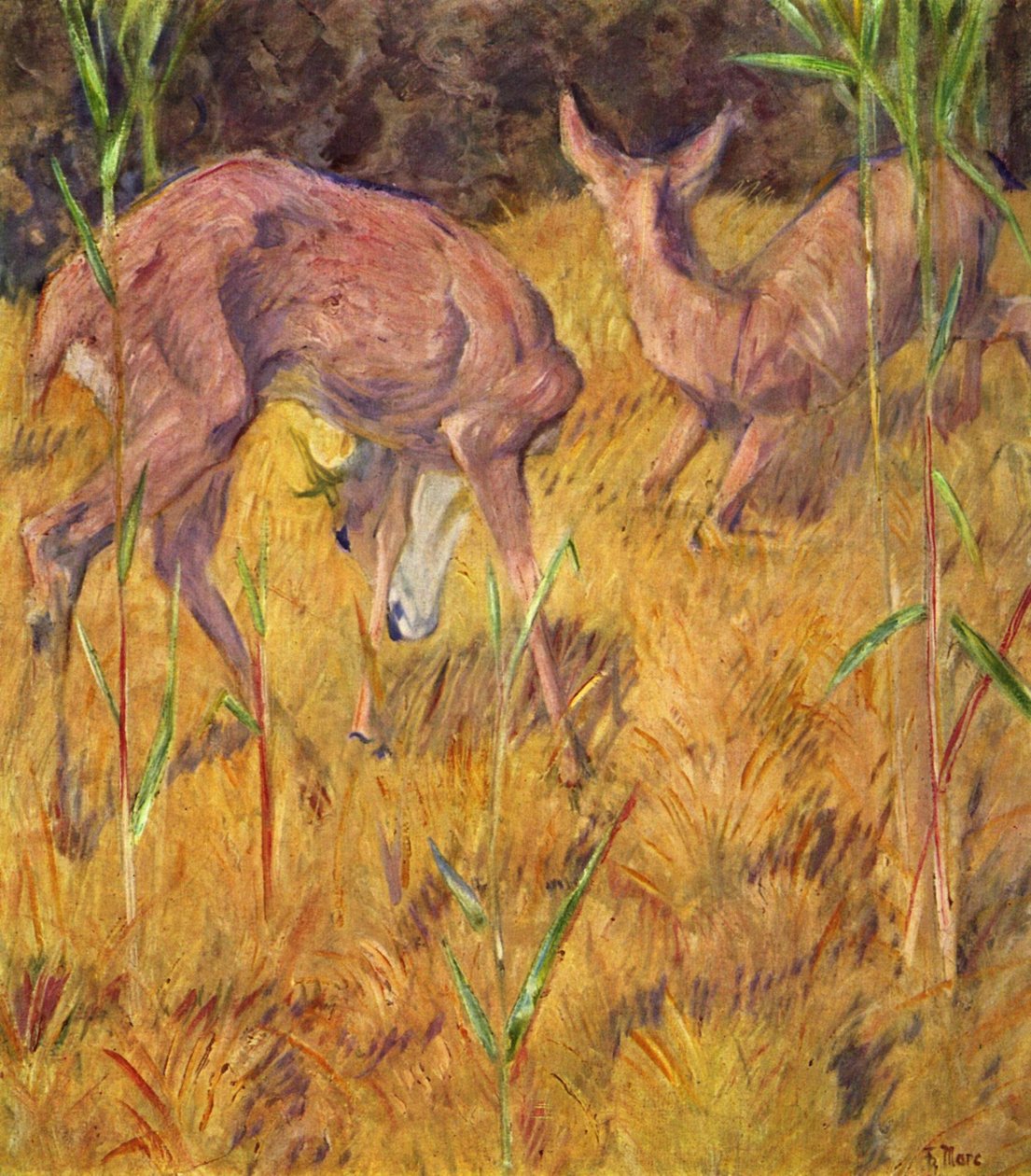 Hjort i sivet av Franz Marc