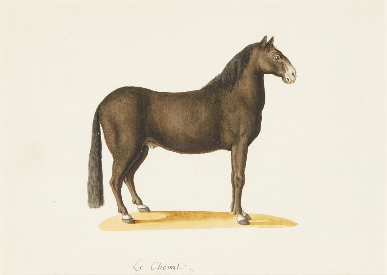 Le Cheval (watercolor)   1411909   no       norwegian Successfully Translated  Original: Barcelona, from Montjuich (colour litho) Translat: Barcelona, from Montjuich (colour litho) 1326546 no norwegian Successfully Translated Original: The Chinese Masquera av Franz Anton von (attr.to) Scheidel