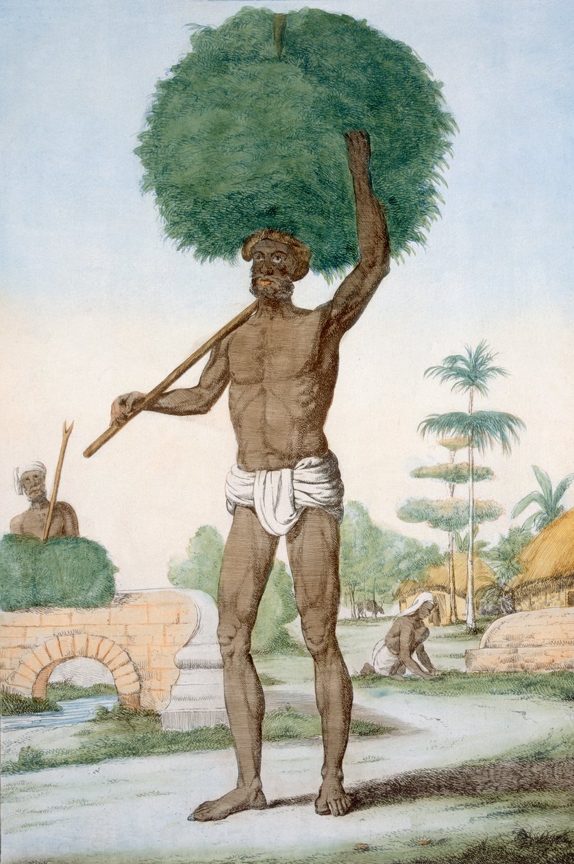 Hinduisk tjener som klipper gress, 