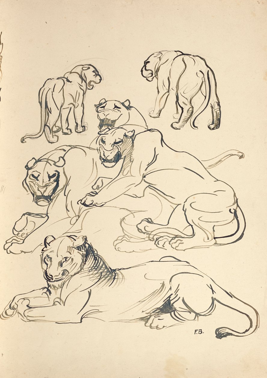 Seks Cougars av Franz Barwig d. Ä.