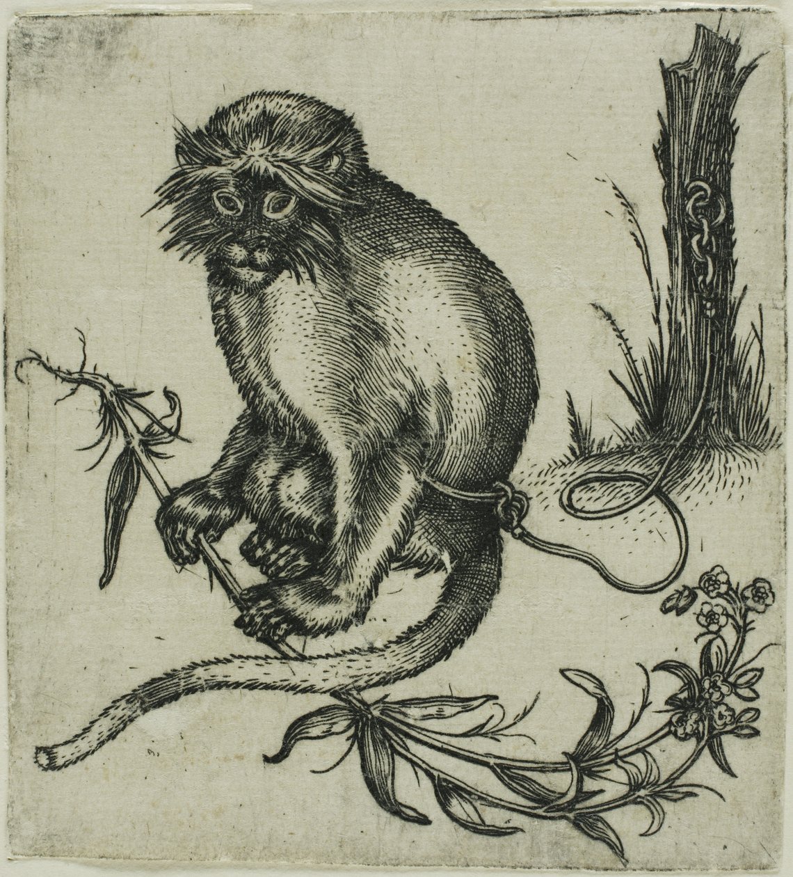  av Franz Brun