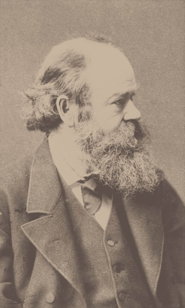 Portrett av komponisten Robert von Hornstein 1833-1890. av Franz Hanfstaengl