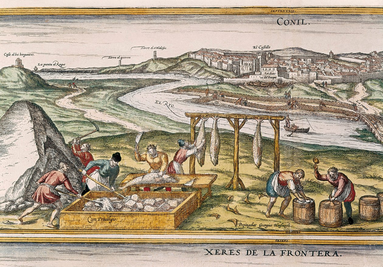 Conil de la Frontera, fiskerne tørker fisken, kutter den, selger den og pakker den i tønner for salg, fra "Civitatis Orbis Terrarum" av Franz Hogenberg