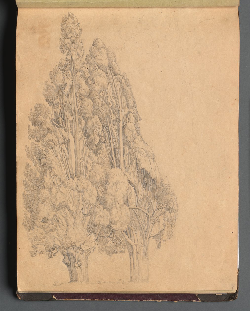 Album med utsikt over Roma og omegn, landskapsstudier, side 13a: Trær. av Franz Johann Heinrich Nadorp