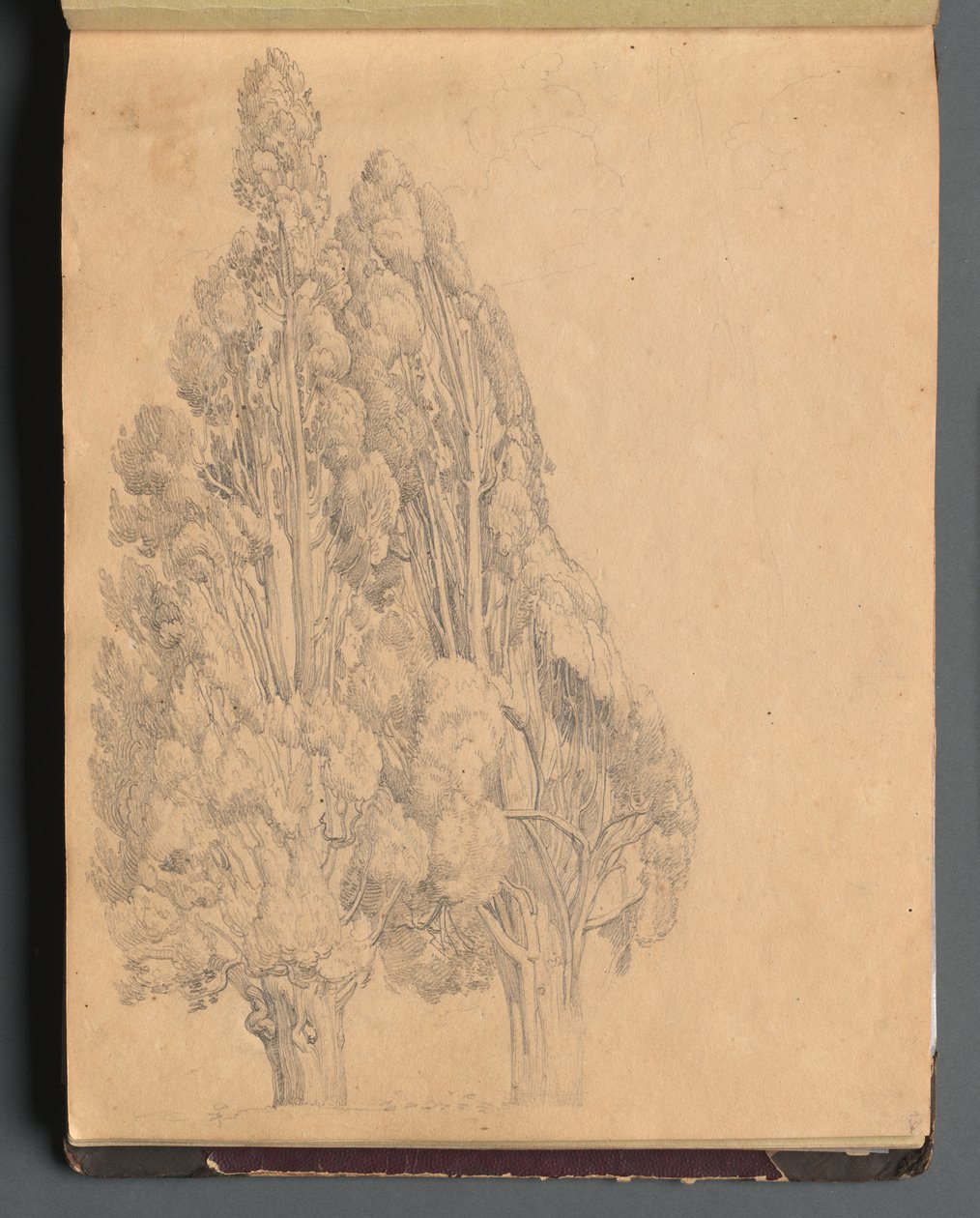 Album med utsikt over Roma og omegn, landskapsstudier, side 13a: Trær av Franz Johann Heinrich Nadorp