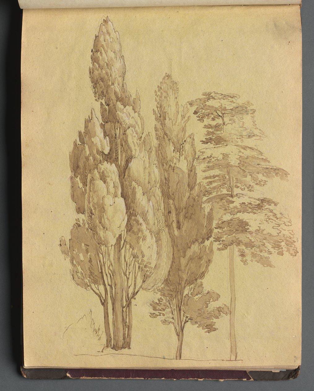 Album med utsikt over Roma og omegn, landskapsstudier, side 15a: Trær av Franz Johann Heinrich Nadorp