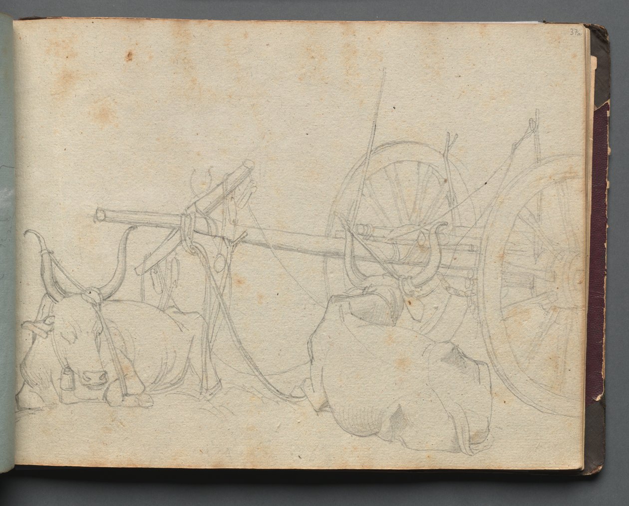 Album med utsikt over Roma og omegn, landskapsstudier, side 37a: Okser og vogn. av Franz Johann Heinrich Nadorp