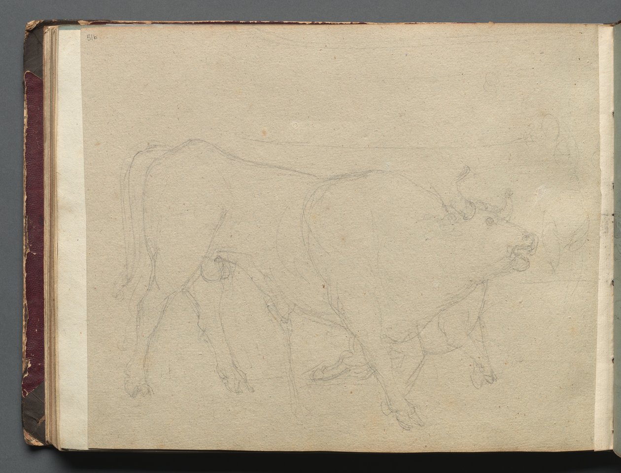 Album med utsikt over Roma og omegn, landskapsstudier, side 51b: Studie av en okse. av Franz Johann Heinrich Nadorp