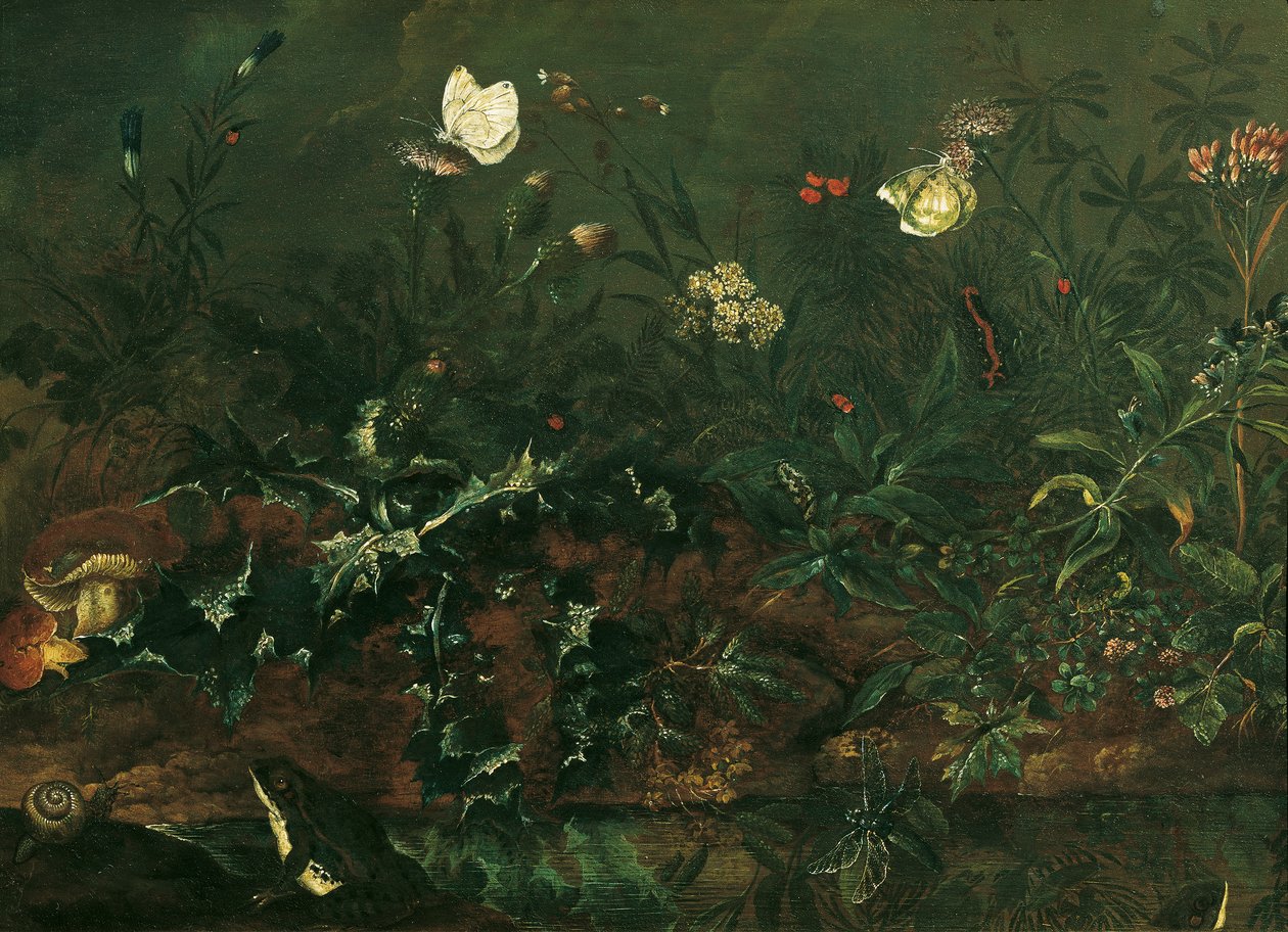 Plen med tistel, frosker og øyenstikkere av Franz Michael Siegmund von Purgau d. Ä.