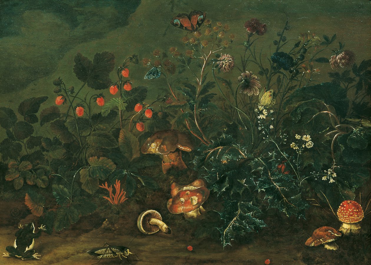 Plen med jordbær og cricket av Franz Michael Siegmund von Purgau d. Ä.