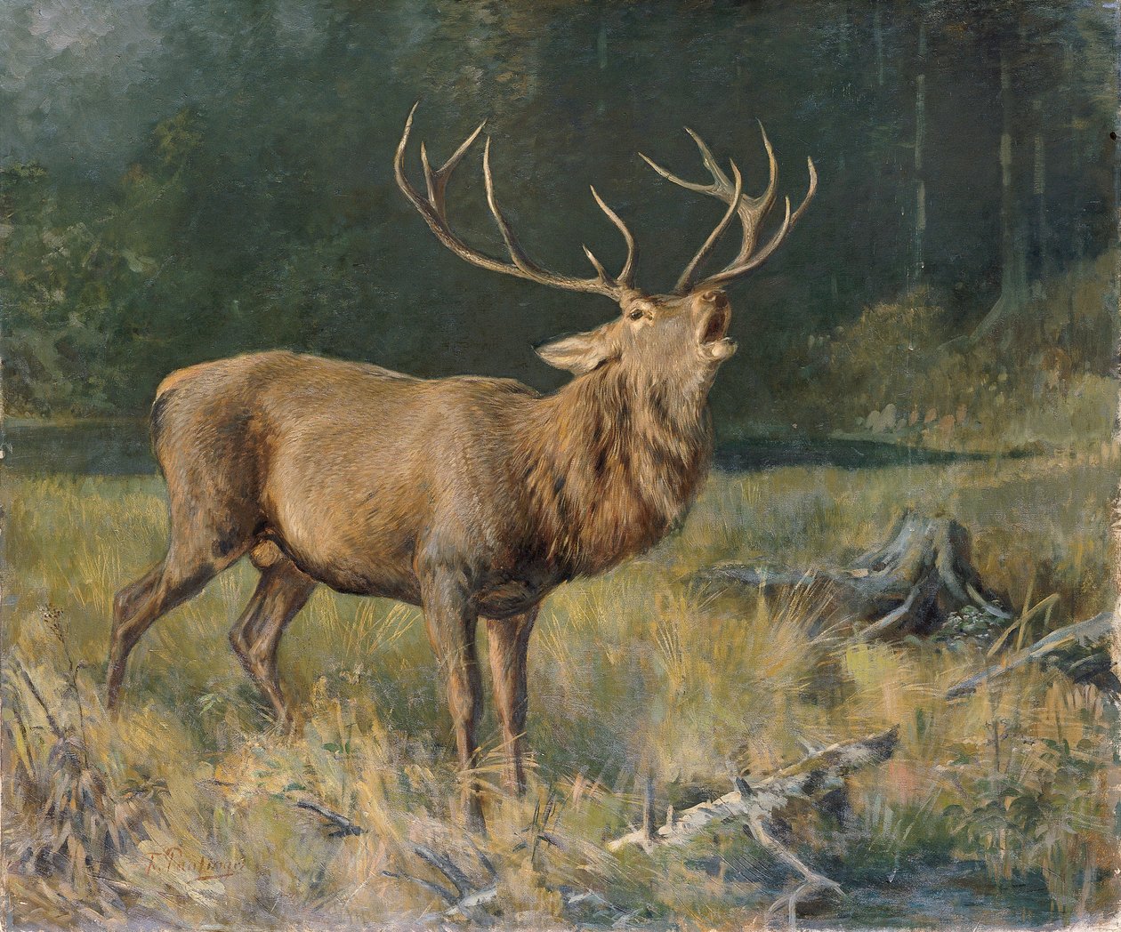 Brun hjort av Franz Xaver von Pausinger