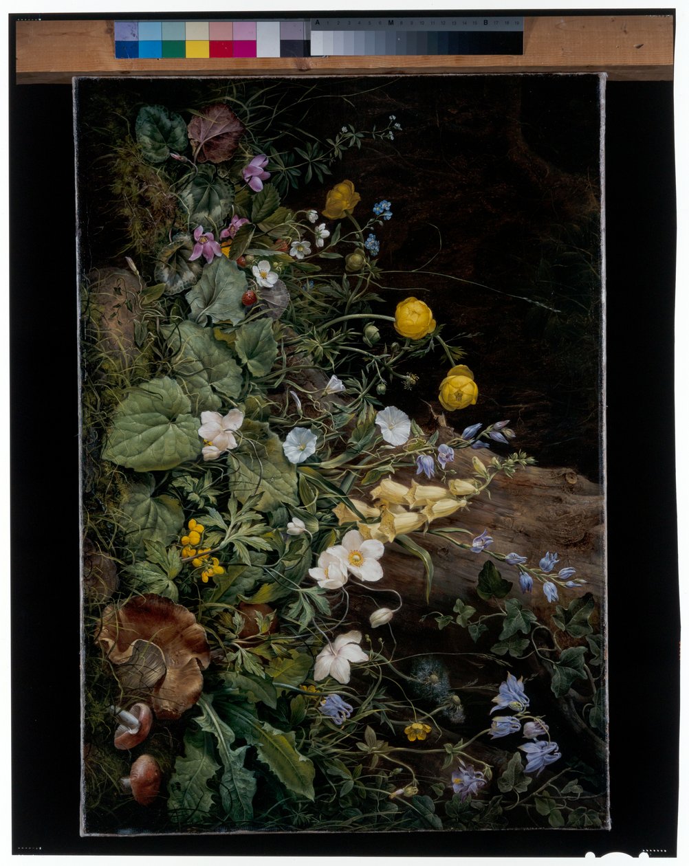 Villblomster ved foten av et tre av Franz Xavier Petter