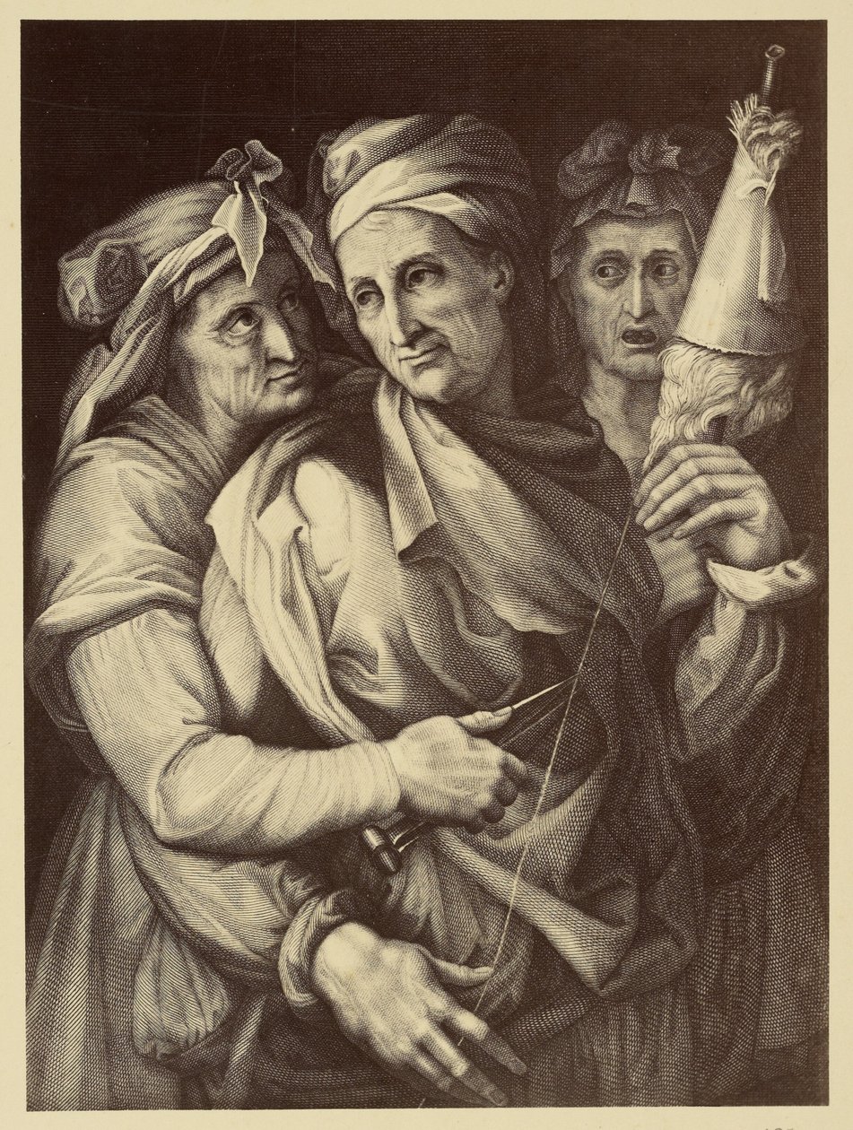  av Fratelli Alinari