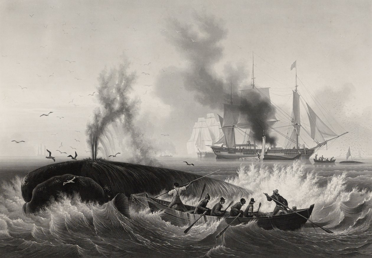 Pêche de la Baleine, 1834-35 (akvatint og gravering med etsing på papir) av Frederic Martens