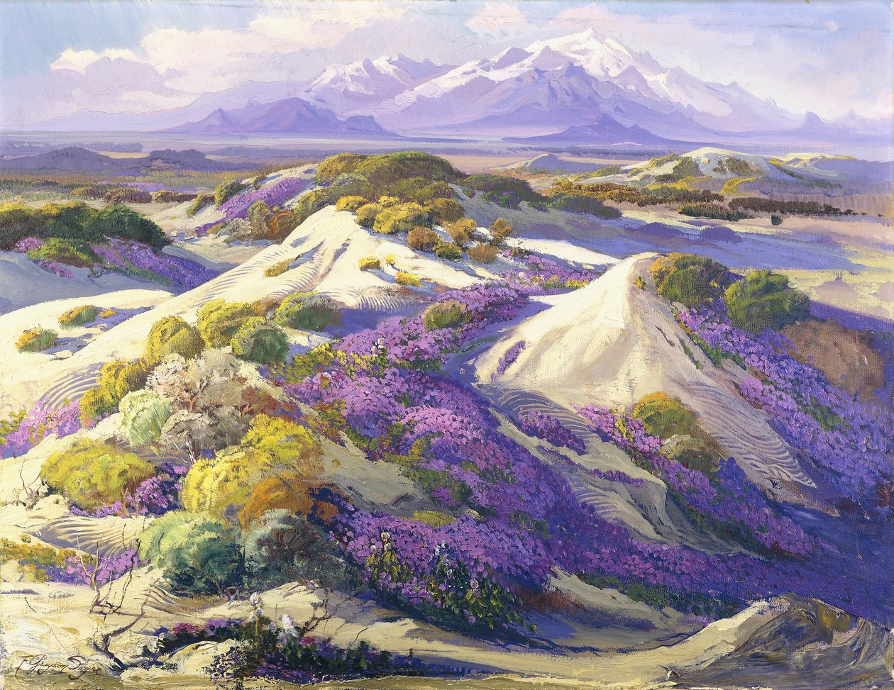 Verbena-kledde sanddyner av Fred Grayson Sayre