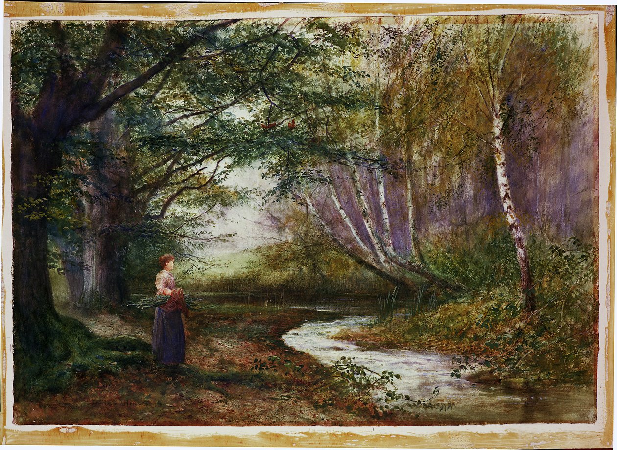 Burnham Beeches, høst av Fred Hines