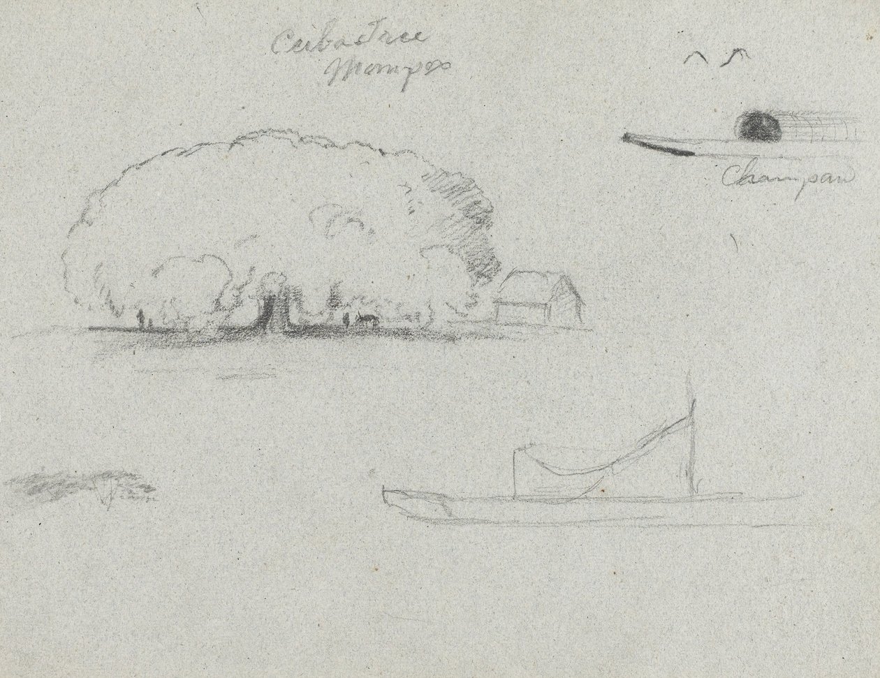Ceiba Tree at Mompox, Chapman Canoe, Trees, and a Partial Boat, Rio Magdalena, Colombia av Frederic Edwin Church