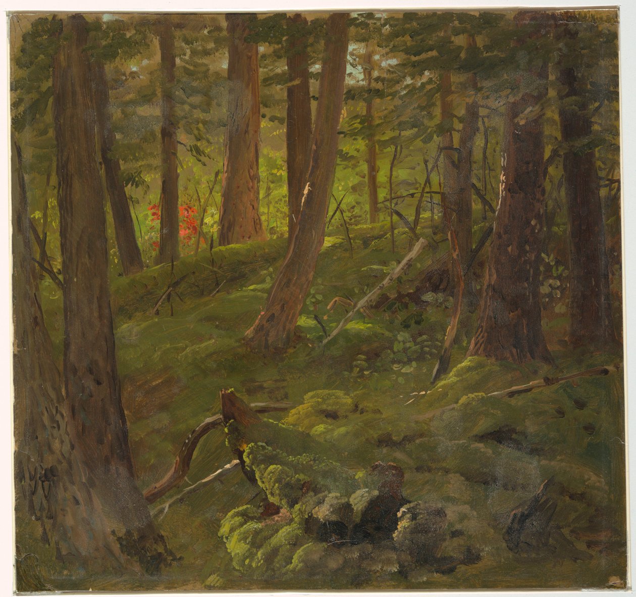Tegning, Jungelvegetasjon, 1865 av Frederic Edwin Church