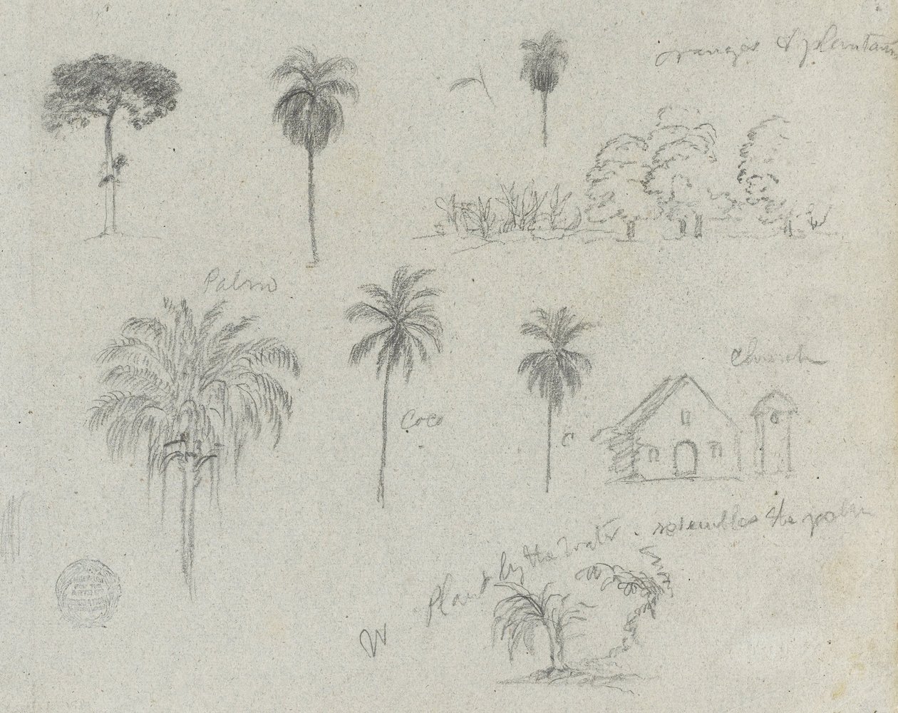 Skisser fra Rio Magdalena, Colombia. Botaniske skisser. En kirke. Ligner på -103. av Frederic Edwin Church