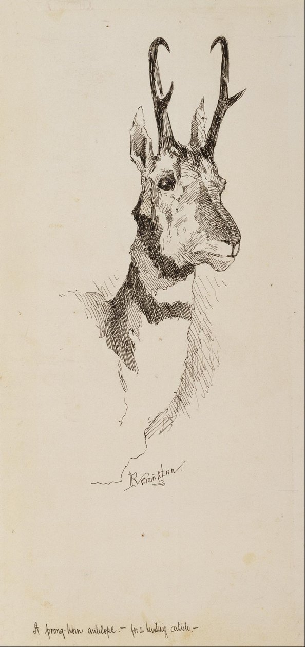 En pronghornantilope av Frederic Remington