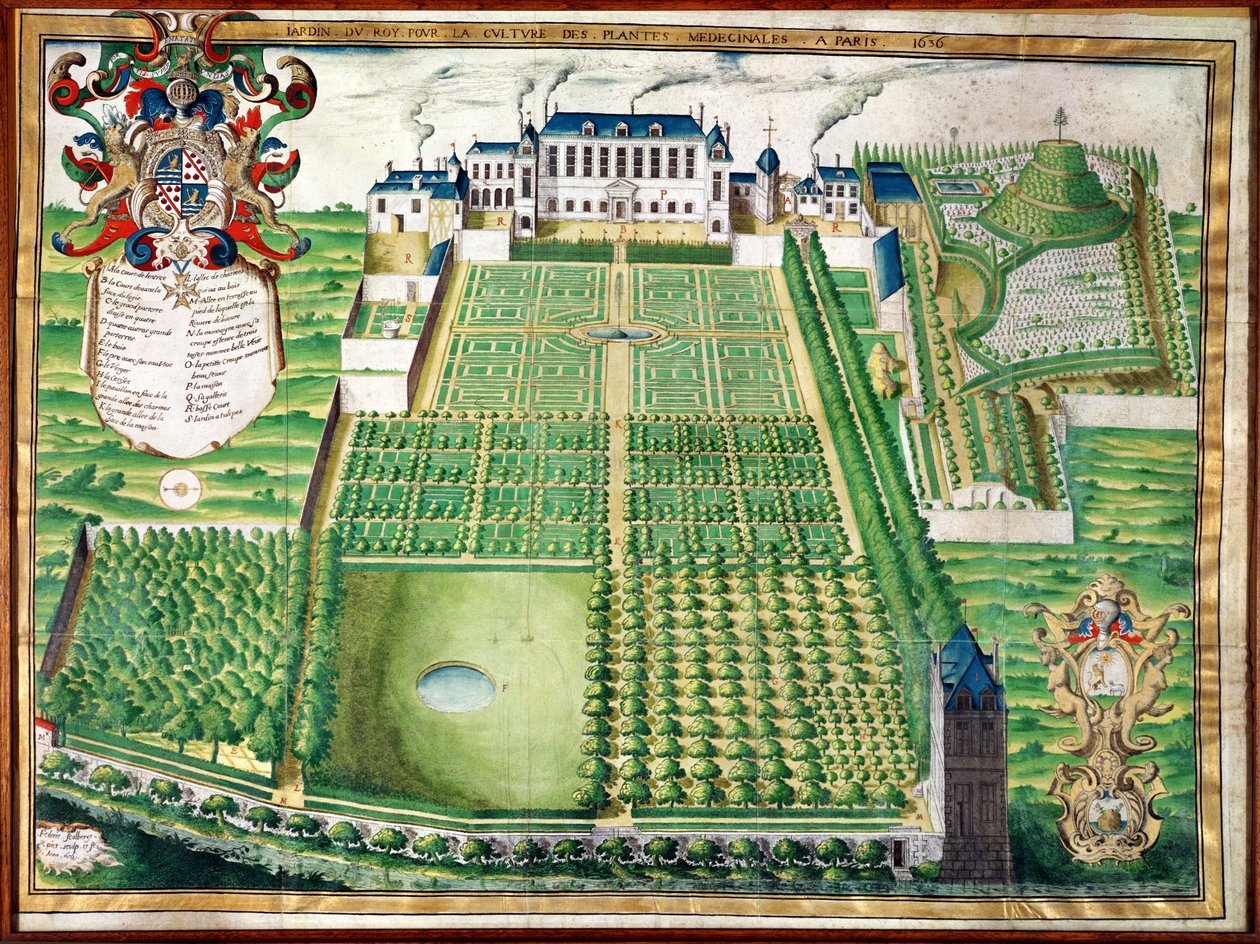 The Kings Medicinal Plant Garden, 1636 (gravering på vellum) av Frederic Scalberge