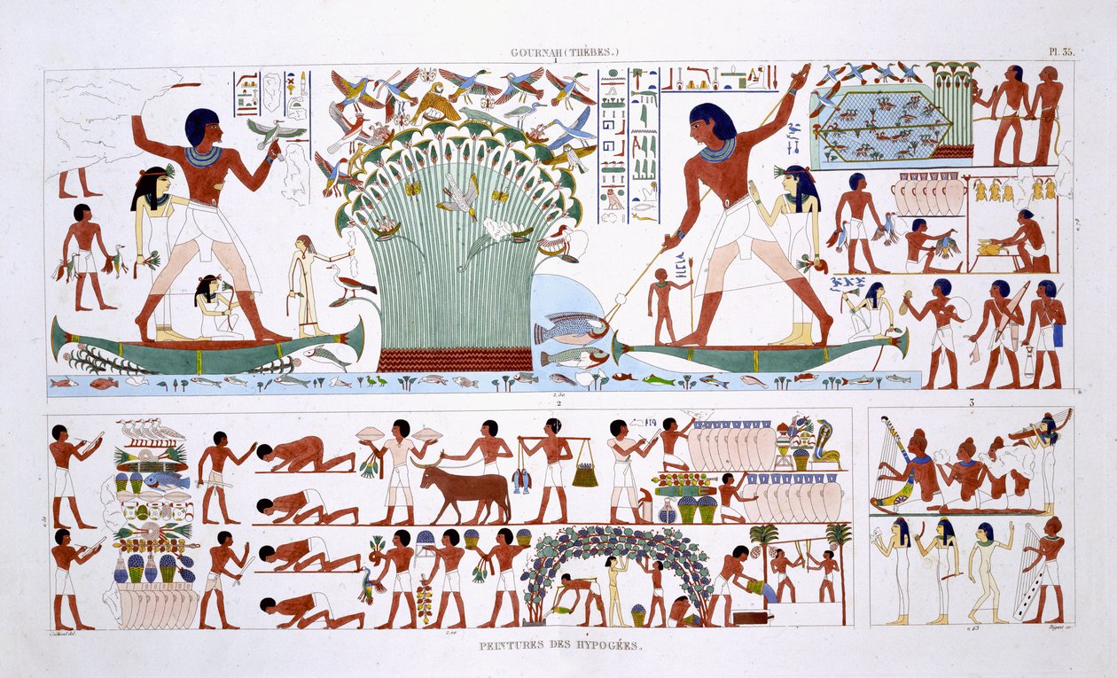 Preparing food for Dead, fra en sjelden registrering av fresker fra Theben, registrert 1819-1822 på sitt andre besøk i Egypt av Frederic Cailliaud (1787-1869), farge litho av Frederic (after) Cailliaud