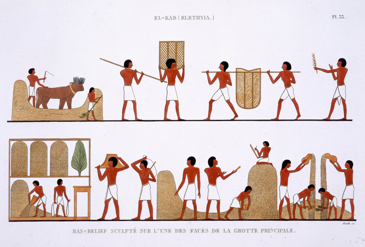 Transport, lagring og registrering av lagrene av korn, fra en sjelden registrering av fresker fra Theben, registrert 1819-1822 på sitt andre besøk i Egypt av Frederic Cailliaud (1787-1869), farge litho av Frederic (after) Cailliaud