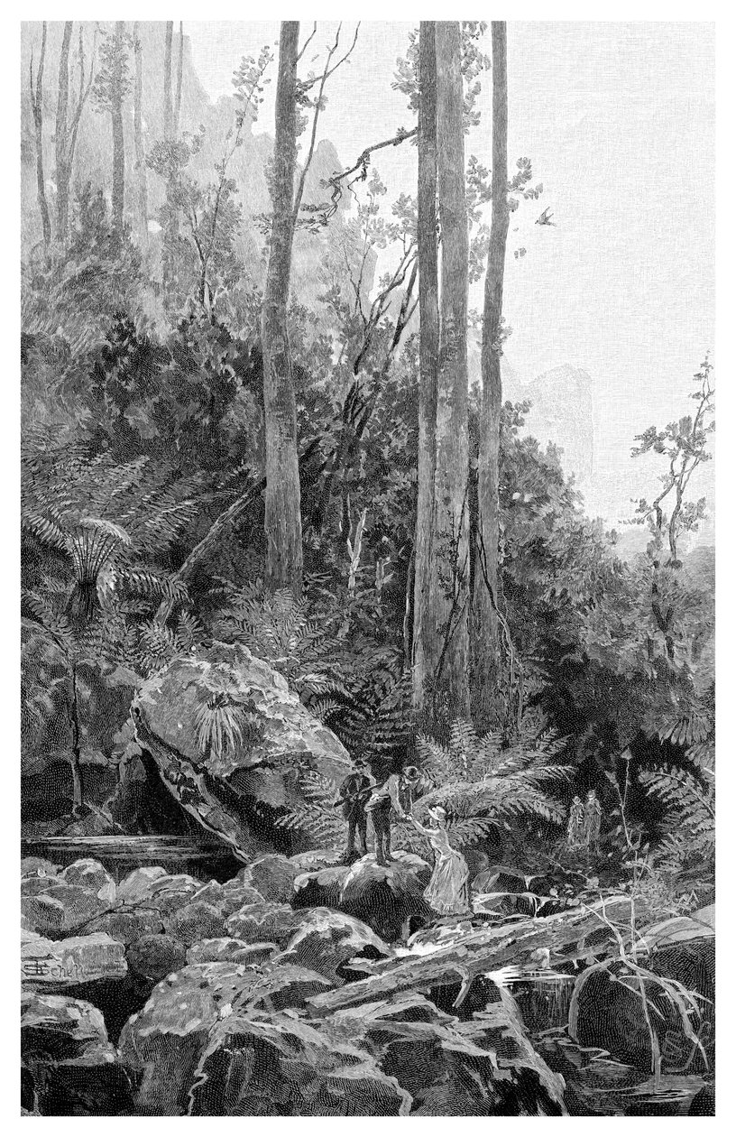 En kløft i Blue Mountains, Australia, 1886. av Frederic B. Schell