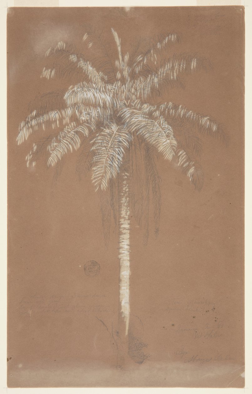 Kom igjen, Pam. Sulus, Jamaica av Frederic Edwin Church