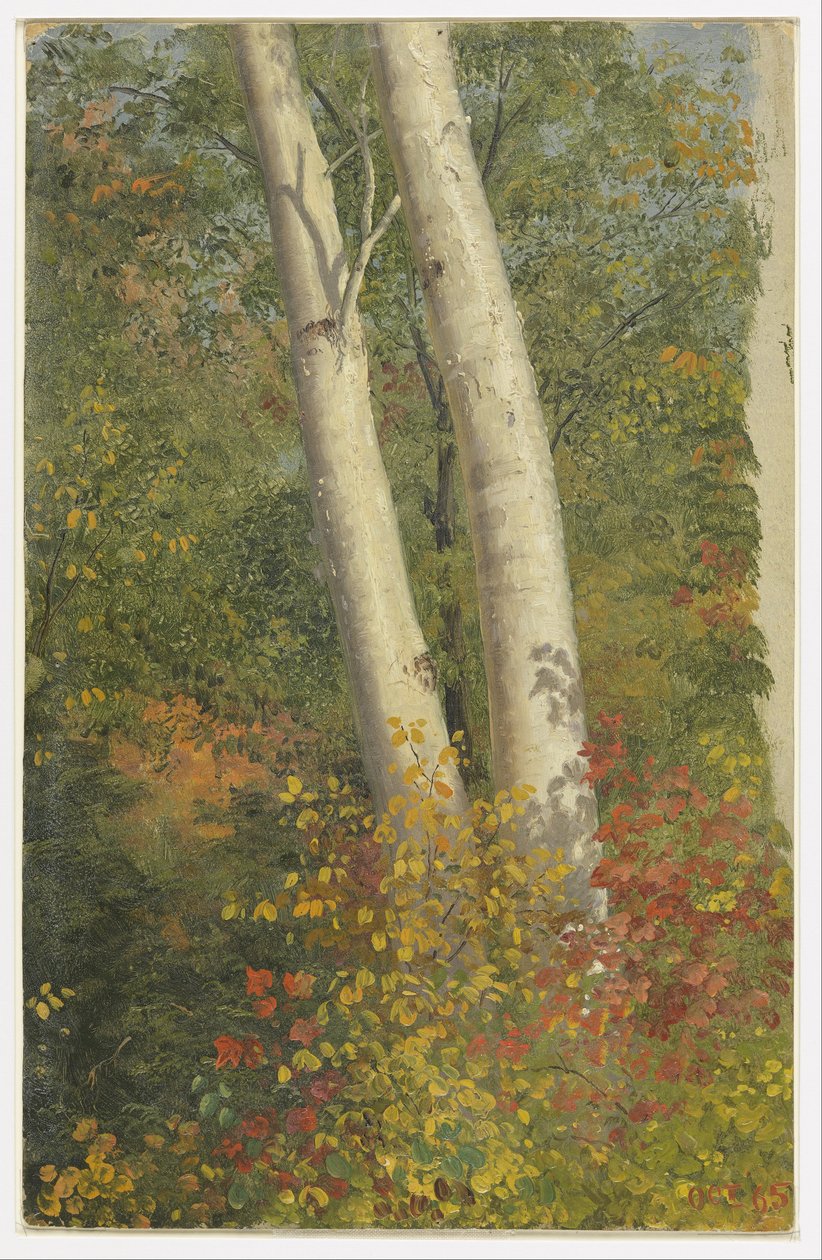  av Frederic Edwin Church