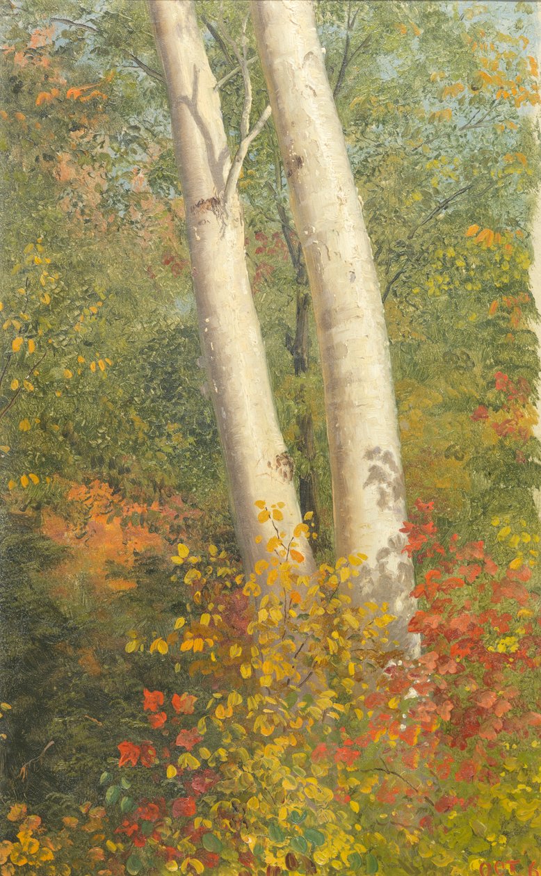 Bjørketrær om høsten av Frederic Edwin Church