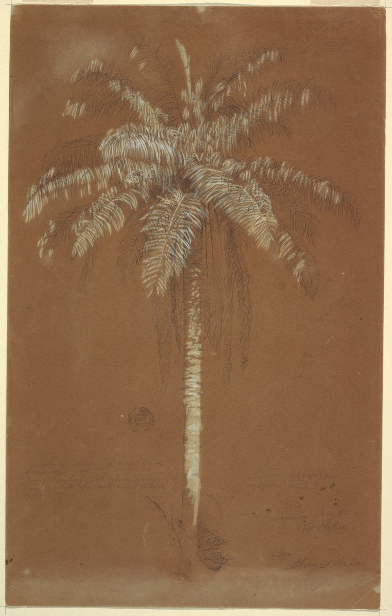  av Frederic Edwin Church