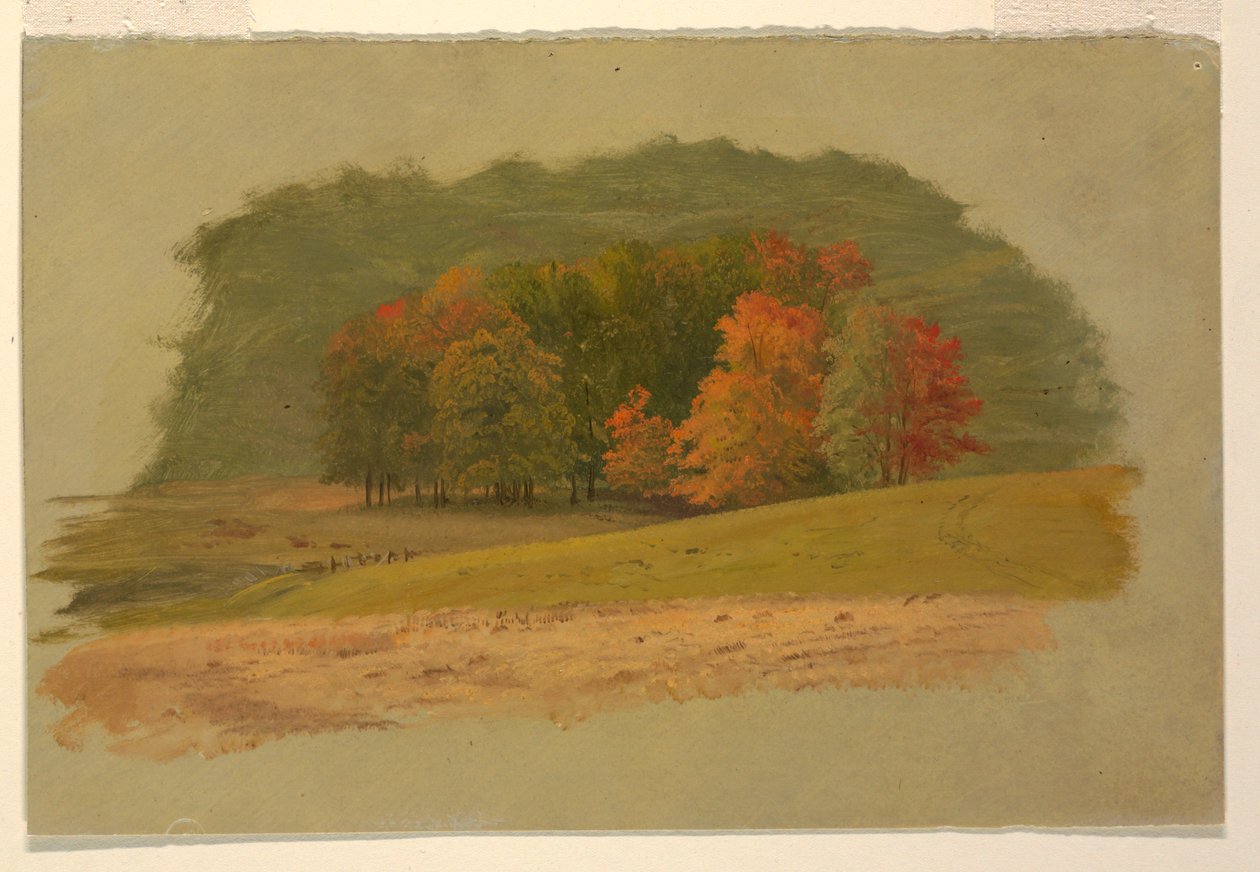  av Frederic Edwin Church