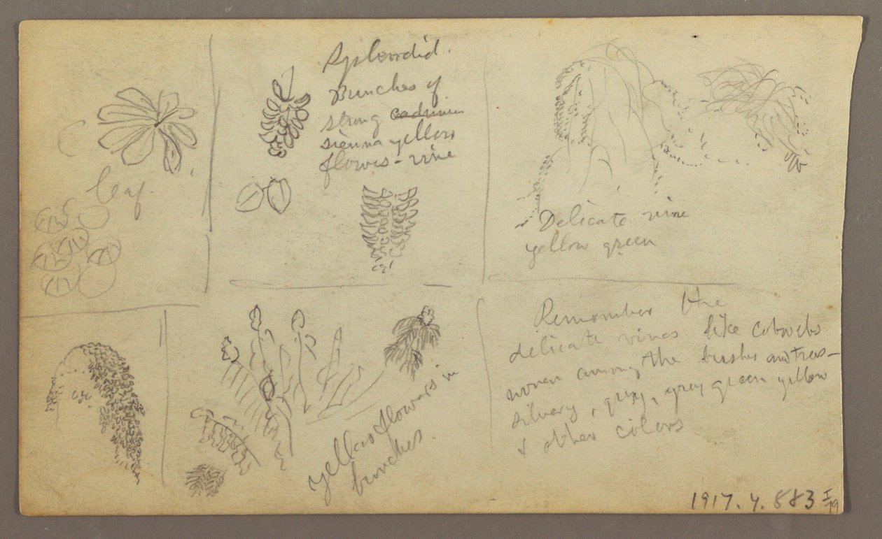Tegning, botaniske skisser, Ecuador eller Colombia; Verso: Botaniske skisser, 1857 av Frederic Edwin Church