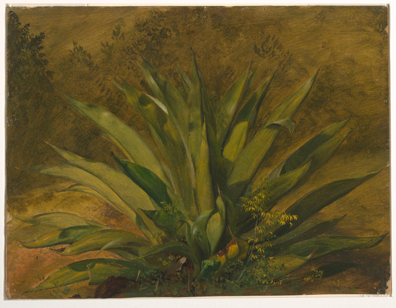  av Frederic Edwin Church