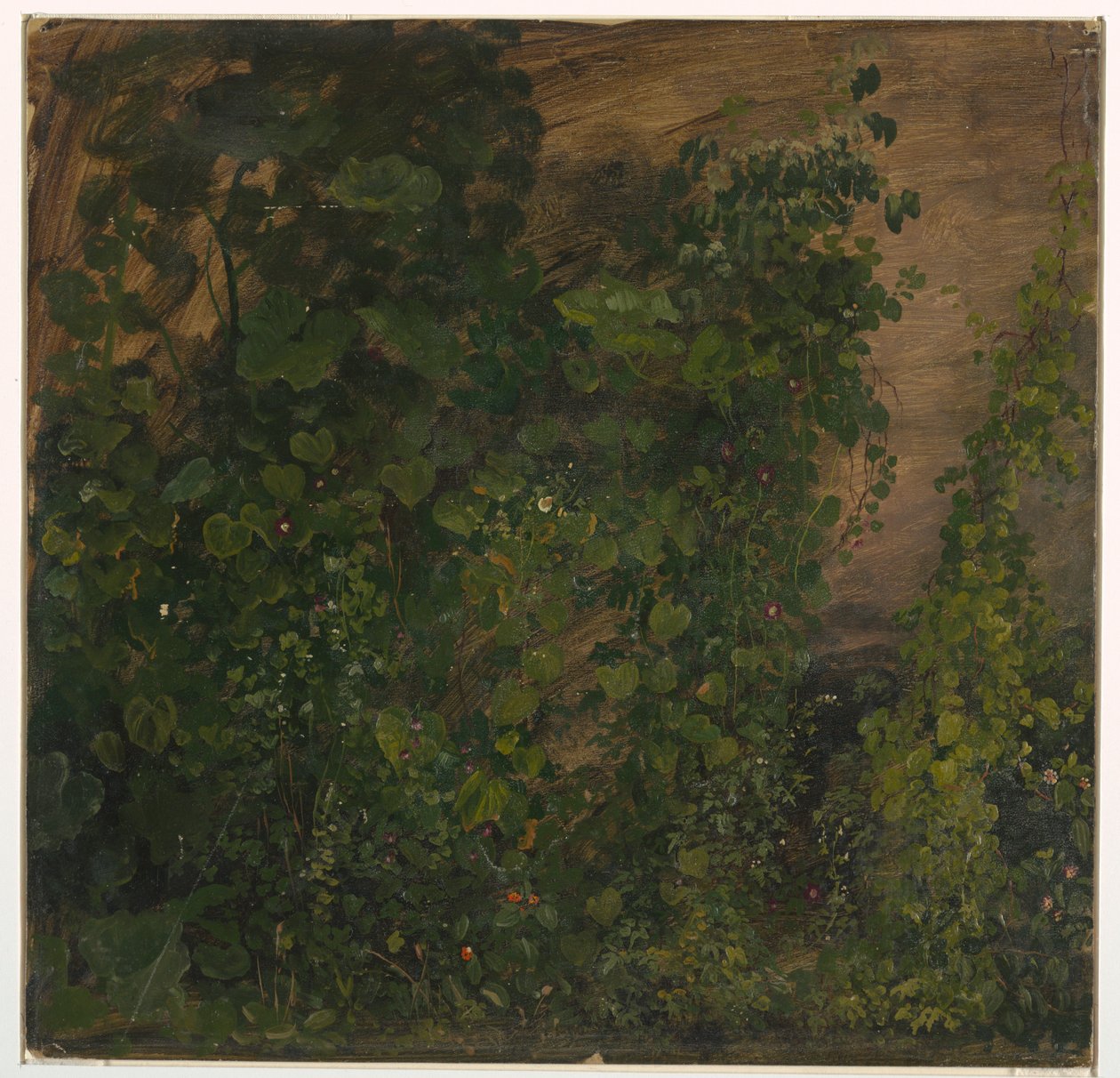 Tegning, Jungelvegetasjon, 1865 av Frederic Edwin Church