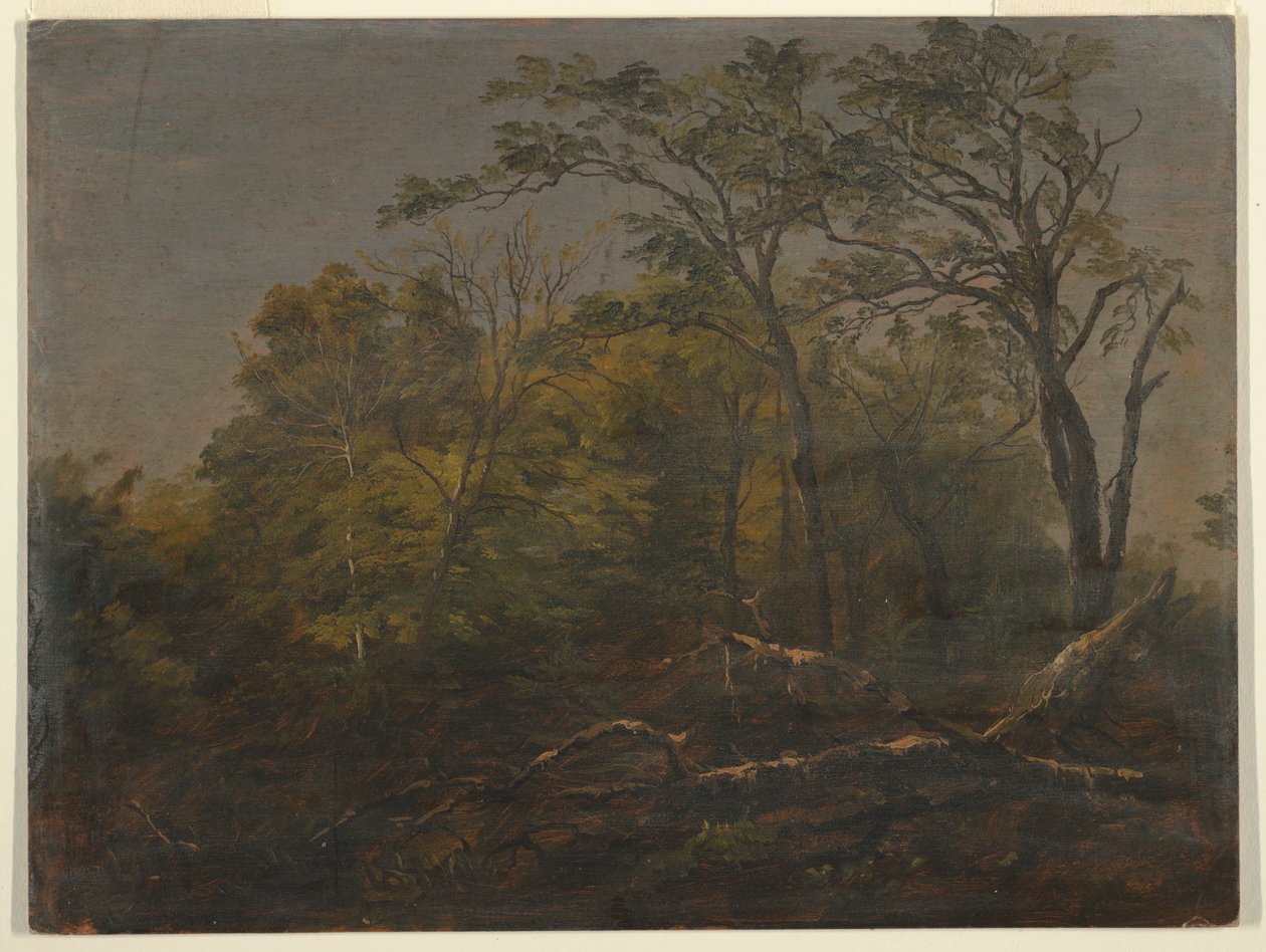  av Frederic Edwin Church